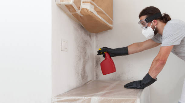 Professional Crawl Space Mold Removal technician working in Sumner, IL