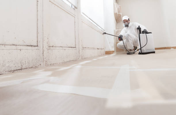 24/7 Emergency Crawl Space Mold Removal experts in Sumner, IL