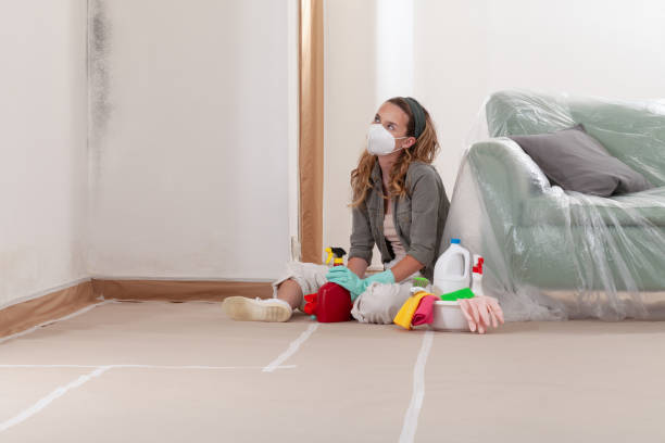 Reliable Crawl Space Mold Removal contractor in Sumner, IL by WQB Mold Removal